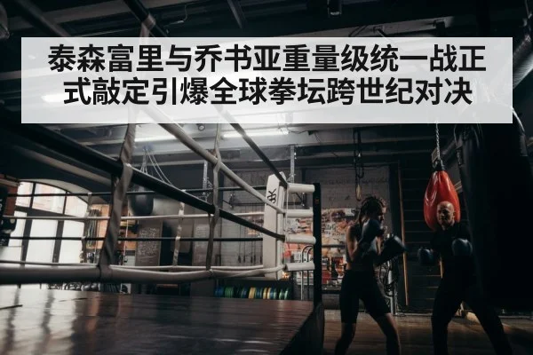 boxer training