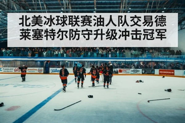 ice hockey arena crowd